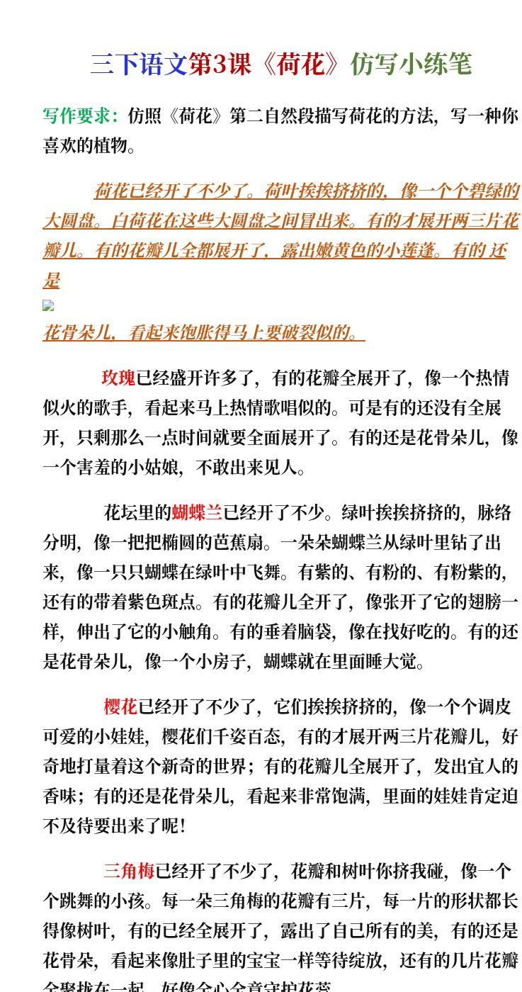 资料预览 第1页