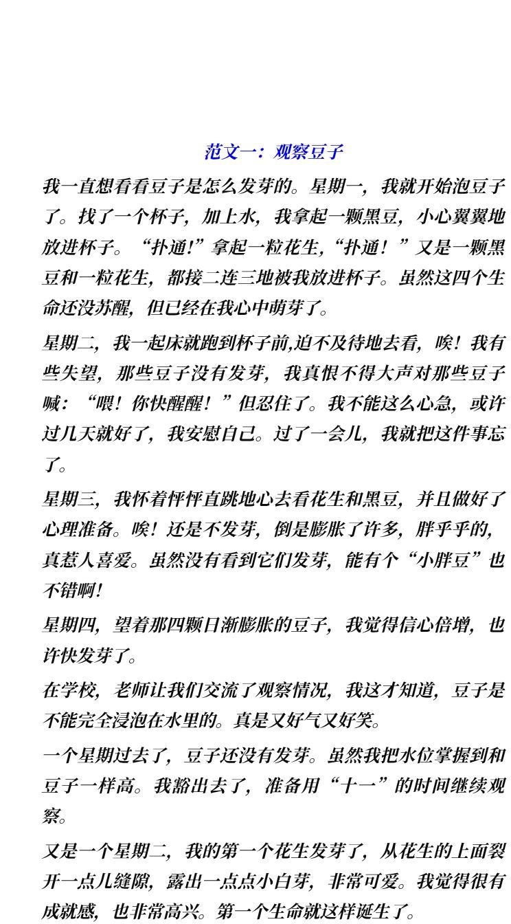 资料预览 第1页